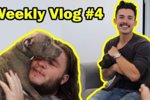 Worlds Cutest Puppy @Yungking Cookson @OnceAConnorTime  | Weekly Vlog 2020 #4