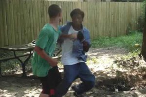 backyard hood fight