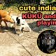 indian dog playing indian cute street desi dog black and white puppy dog indian dog kuku and Miku