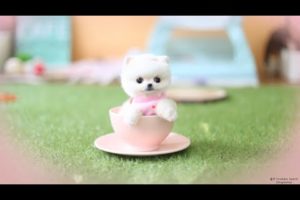 soo cute! pets The cutest puppies. Let's find a healing channel​  ​YouTube Search(Dogcastle)