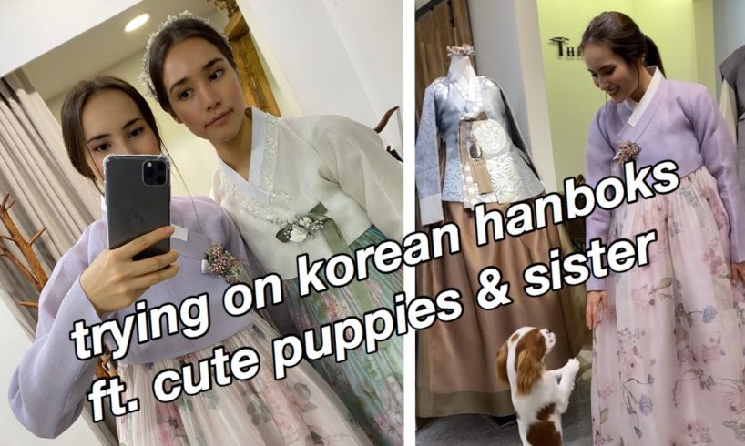 trying on korean hanboks ft. cute puppies & sister | 예쁜 한복 입어보기 ft. 귀여운 강아지들 & 여동생