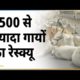 अगर आप animal lover हैं तो ये वीडियो आपको जरूर पसंद आएगी | Rescue | Gau Raksha Dal | Rajasthan News