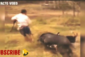 इंसान और जानवर की जबरदस्त लड़ाई। , Men and animals real fight