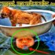 ये 7 बचाव कार्य किसी 7 अजूबों से कम नहीं हैं | Amazing animal rescue in the world | Animal Rescues