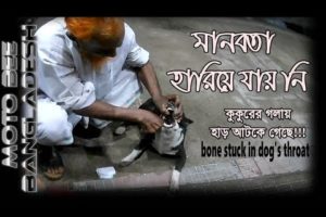 কুকুরের গলায় হাড় আটকে গেছে #boneStuckInDog'sThroat #MotoBeeBangladesh #Sylhet #Dailymotovlogg