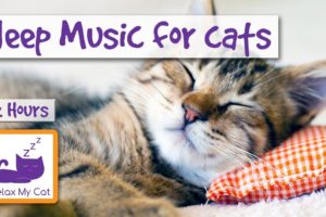 2 HOURS of Sleep Music for Cats. Try it Today and be Surprised!