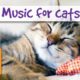 2 HOURS of Sleep Music for Cats. Try it Today and be Surprised!
