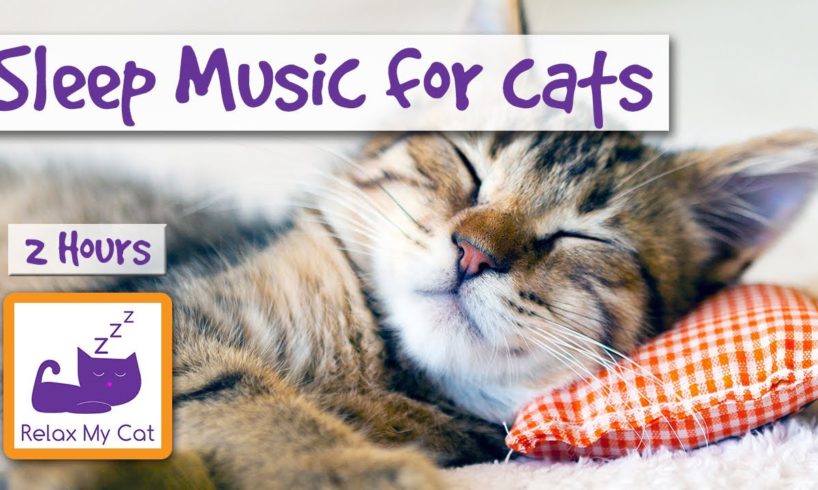 2 HOURS of Sleep Music for Cats. Try it Today and be Surprised!