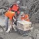 Animals Rescued From Philippines Volcano Devastation
