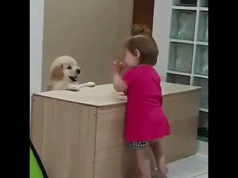 Animals mom 2020.beautiful babies are playing with animals