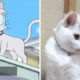 Aww Cute Cats And Dogs Video 2020- - Tik Tok Animals | Pets Paws