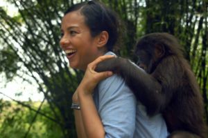 Bonobo Loves Being Tickled | Animals In Love | BBC