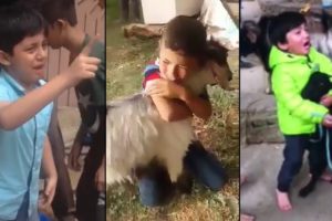 Brave Kids Save Animals From Slaughter