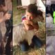 Brave Kids Save Animals From Slaughter
