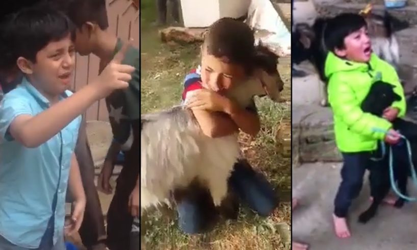 Brave Kids Save Animals From Slaughter
