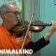 Broadway violinist performs for abused animals | Animalkind