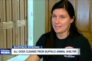 Buffalo Strong: Rescues clear the Buffalo Animal Shelter amid coronavirus outbreak