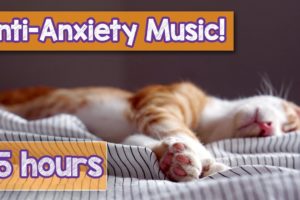 Calming Music for Cats with Anxiety! Deep Soothing Music for Anxious, ill and Stressed Cats! (2018)