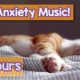 Calming Music for Cats with Anxiety! Deep Soothing Music for Anxious, ill and Stressed Cats! (2018)