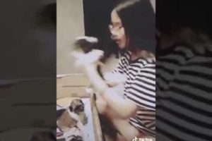 Cute Puppies???