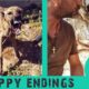 Dog rescue stories happy endings - Before and after adoption - Part 1 - Takis Shelter