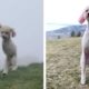 Double Amputee Dog Loves Life
