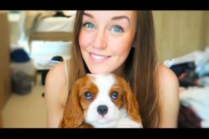 EEVEE COMES HOME!!! (CUTEST PUPPY EVER!)