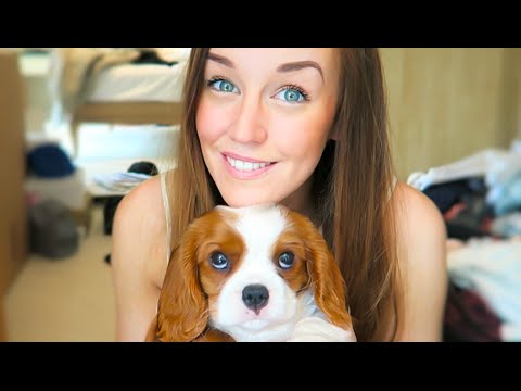 EEVEE COMES HOME!!! (CUTEST PUPPY EVER!)