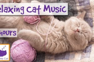 Extra Long Video of Sleep Music for Cats! Help Your Cat Sleep With 8 Hours of Relaxing Music
