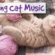 Extra Long Video of Sleep Music for Cats! Help Your Cat Sleep With 8 Hours of Relaxing Music