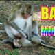 Funny Baby Monkey Playing with Dad | WildLife Animals