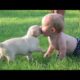Funny Puppies And Babies Videos - Cutest Dog And Baby Videos | Puppies TV