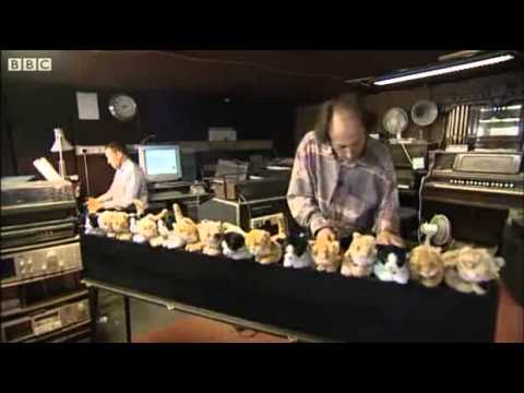 Guy Plays A Cat Organ (BBC)