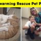 Heartwarming Rescue Pet Photos