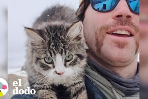 Hombre encuentra a un gatito congelado cuando iba caminando | El Dodo