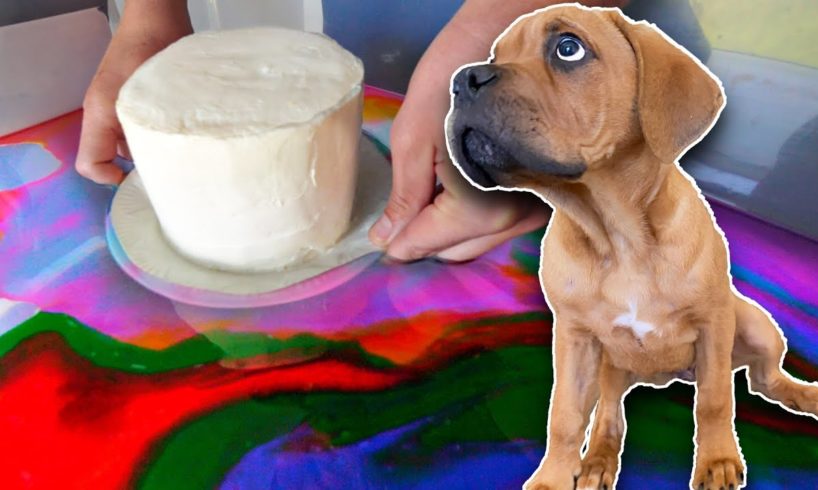 I Tried Hydro Dipping a DOG CAKE!