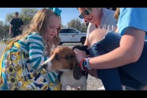 Junior, a lost dog rescued & reunited with his family