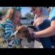 Junior, a lost dog rescued & reunited with his family