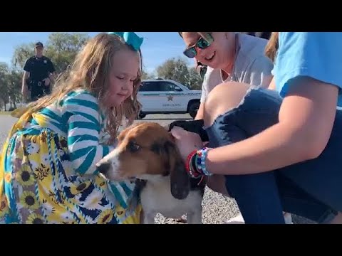 Junior, a lost dog rescued & reunited with his family