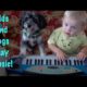 Kids and Dogs Play Music