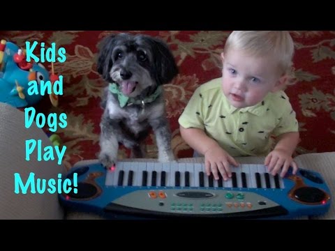 Kids and Dogs Play Music