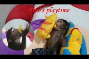 Monkey Doo Plays Alone So Cute