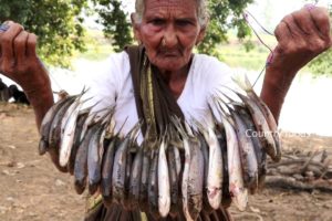 My Grandma Cooking Fish fry | Fish Fry Recipe | 105 Mastanamma | Country foods