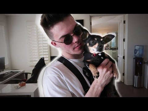 NEW FAZE HOUSE DOG REVEAL!! (Cutest Puppy Ever)