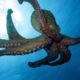 Octopus Uses Coconut Shell to Hide: Intelligent Animals