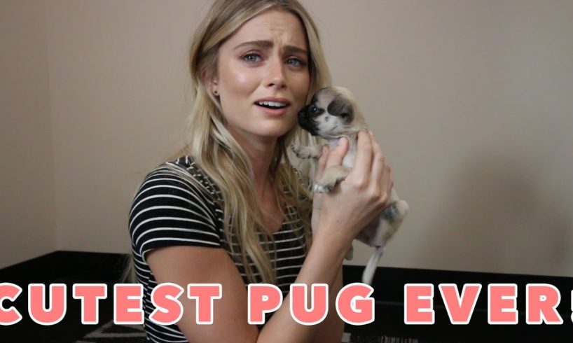 PICKED HER UP WITH THE CUTEST PUPPY EVER!