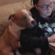 Pit Bull Can't Stop Cuddling With Owner Who Rescued Him From Shelter