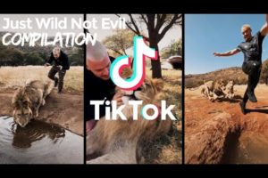 Playing with Wild Animals In Africa | Tik Tok Nature Compilation 2020 | Views of Nature