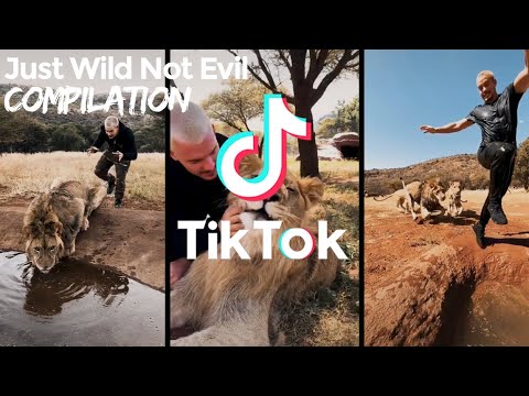 Playing with Wild Animals In Africa | Tik Tok Nature Compilation 2020 | Views of Nature