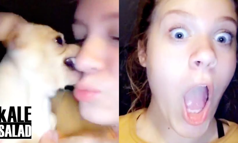 Quarantine Fails Compilation - Dog Bites Owner! | Kale Salad